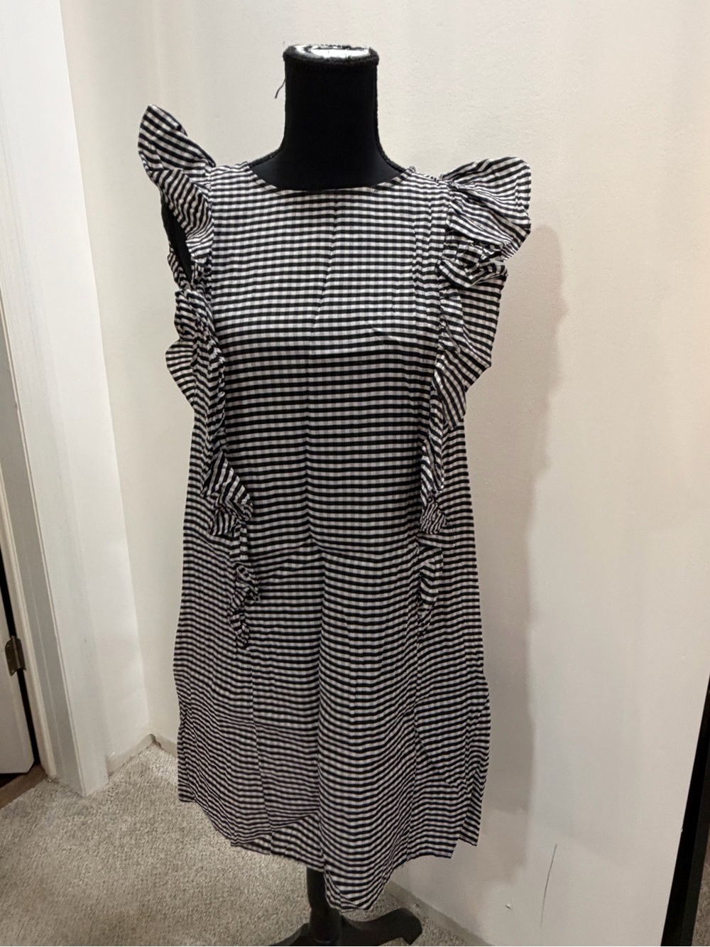 H&M Black and White Gingham Ruffle Mini Dress